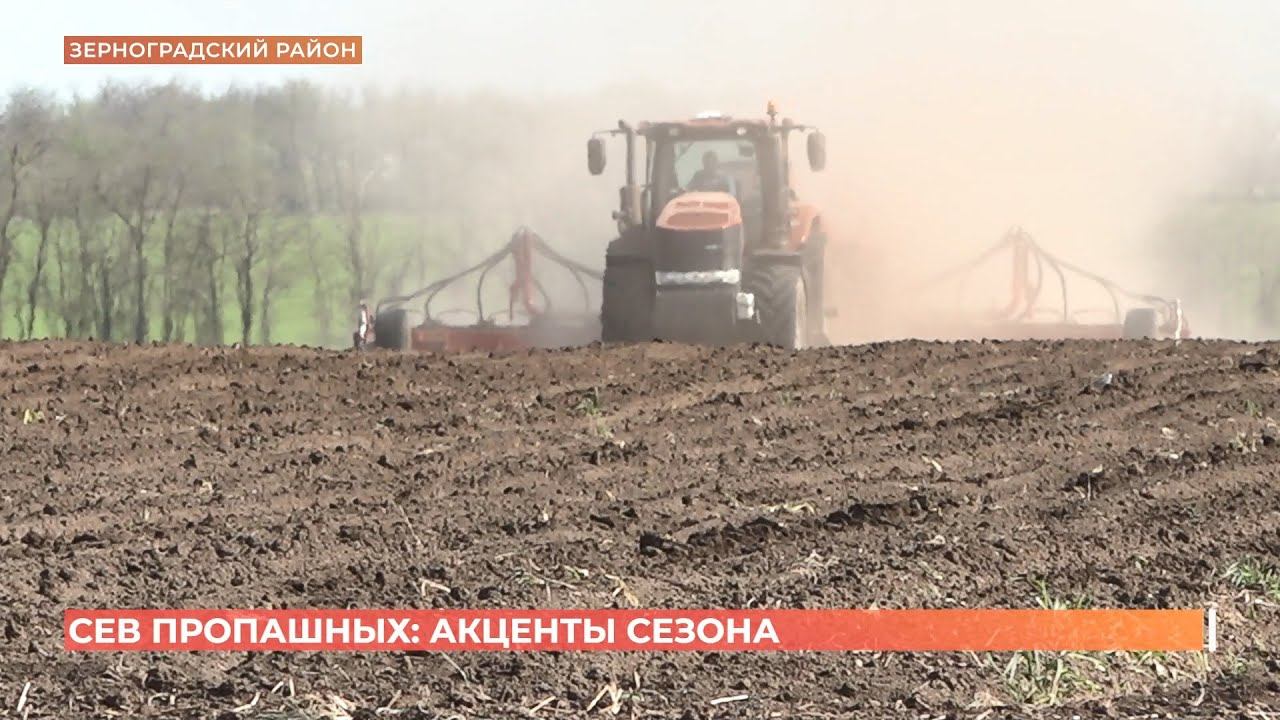 Сев пропашных культур в Ростовской области: акценты сезона