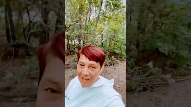 Любовь – это умение принимать разность друг друга. #мудрость #смыслжизни #жизнь смотреть онлайн