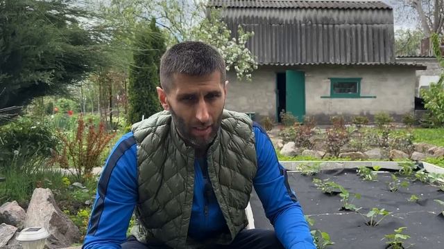 ВЕСЕННЯЯ ПОДКОРМКА КЛУБНИКИ