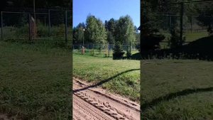 деревня Мокшицы. Тверская область, Максатихинского района.