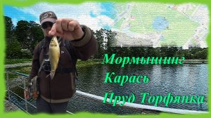 Мормышинг. Карась. Пруд Торфянка