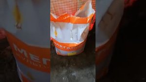 Бройлеры. Мегакорм в Казахстане. 0 день эксперимент