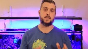 Adding Corals to Your Reef Tank 3 Helpful Tips for Beginners