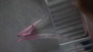 VID_20241128_165521.mp4