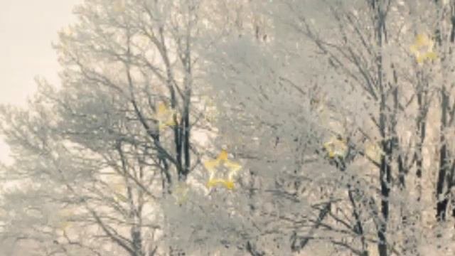 Zino Gunohidanham Yomon Gunoh Bu | Shukrulloh Domla Maruzalari | шукруллох домла | Amri Maruf