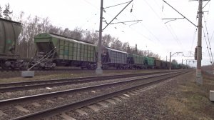 Электровоз ВЛ80с-1353 с грузовым поездом останавливается на перегоне Игумново - Доскино