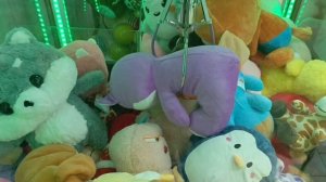 ЛОВЛЮ КОШЕЧКУ ИЗ "MUÑELOCOS" 🐱(сильная попытка почти на грани...)