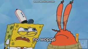 Губка Ёб RYTP