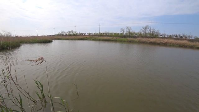 Трудовой пеленгас смотреть онлайн