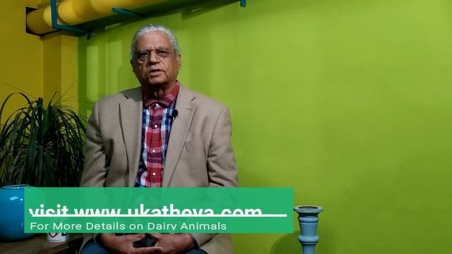 AI के बाद प्रोजेस्टेरोन (Progesterone) का इंजेक्शन ना लगवाएं। Effect of Post-AI Progesterone Suppl. смотреть онлайн