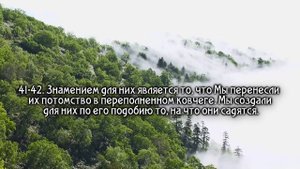 Сура 36 «Ясин» Чтец Мухаммад Амин (грустное чтение Корана