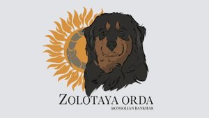 Монгольский Банхар Представление породы
Питомник Золотая Орда