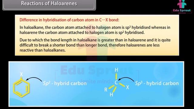 CBSE Syllabus Class 12 CHEMISTRY Lesson 13 - Haloalkanes And Haloarenes - Part 2 | CBSE| State Boar
