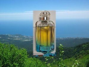 Un Jardin en Mediterranee Hermes Сад Средиземноморья #hermes #парфюмерия #обзор #parfum #asmr #люкс