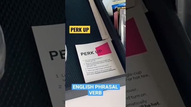 ENGLISH PHRASAL VERB: PERK UP #americanenglish #englishasasecondlanguage #ielts_tips #englishidioms смотреть онлайн