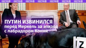 «Ангела, пожалуйста, извини меня»: Путин заявил, что не знал о страхе Меркель перед собаками, когда