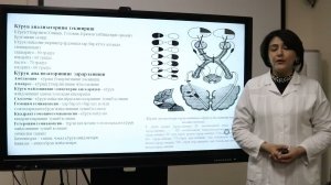 I-II-III-IV-VI juft   bosh miya nervlari, klinik anatomiyasi, tekshirish usullari.