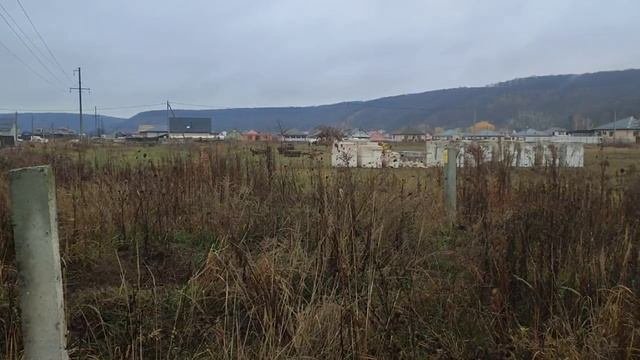 Video5352919905391893106