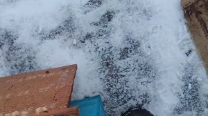 Гибель семьи пчёл. Разборка пчелиной семьи зимой. Причины гибели пчёл зимой и выводы.  Часть 1.