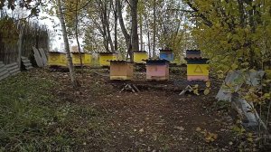 подставки под улья, подготовка к зимовке. Пчеловодство.