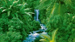 [Deep Sea Current]  The Hidden Gully   Junglewave - Vaporwave - Signalwave Music Mix