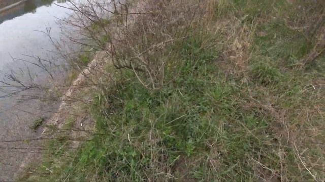 Вессений трофей(открытие сезона)охота с рогаткой смотреть онлайн