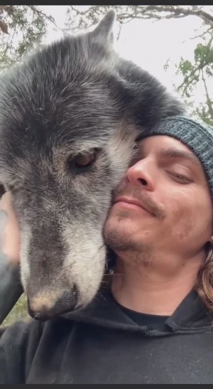 ВИДЕОЗАЛИПАЛКА животные_5