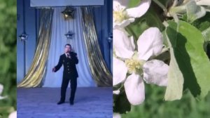 Эх, алмагачларым