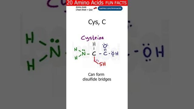 20 Amino Acids For the MCAT - Fun Facts To Help You Memorize 🧠💡