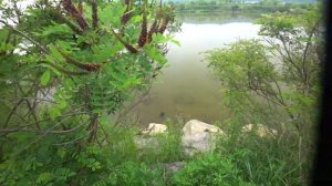 Рыбалка с рогаткой (охота с рогаткой)