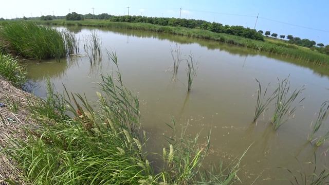 Все приходит с опытом,хоть и запаздалым))) смотреть онлайн