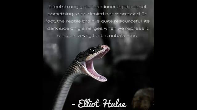 YouTube Stars - Elliot Hulse - King - Becoming the Strongest Version of Yourself Book Review смотреть онлайн