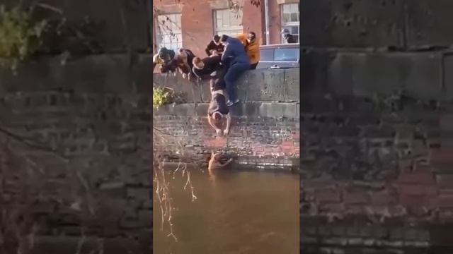 фрагменты видео спасения или оказания помощи животным.mp4