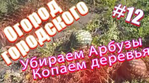 29е августа 2019