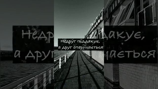 Про дружбу @moodro Підписка та вподобання #мудрість #приказки #прислів #афоризмы смотреть онлайн