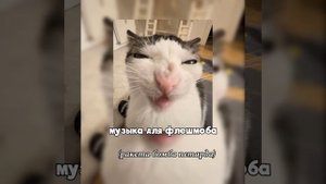 музыка для флешмоба с названиями)❤️🥞
