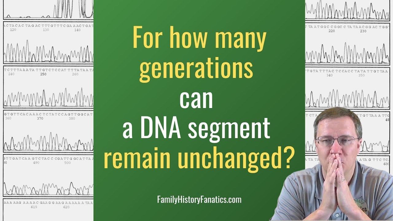 How Far Back Can a DNA Segment Remain Unchanged?  Genetic Genealogy Explained
