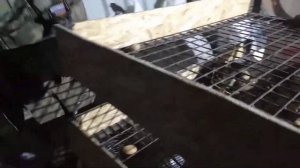 Сортировка картофеля