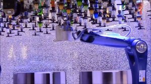 Royal Caribbean International Cruise....The Ovation of the Seas...BIONIC BAR !