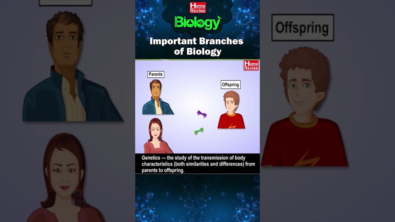 Important Branches of Biology | In terms of approach in studying them