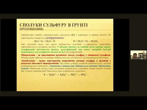 Екологія №4 від 13 лютого. Грунти.Екосистемний рівень організації матерії.