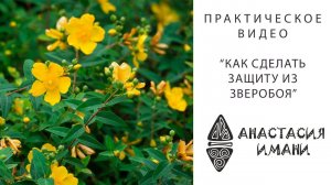 Защита из зверобоя | Практическое видео