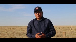 Ногаи Ногайцы история тюрки кочевники казахстан