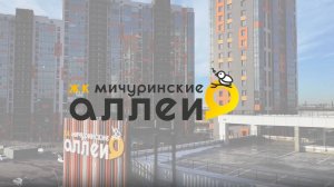 ЖК "Мичуринские Аллеи". Выполнение объекта на Ноябрь 2024 года.