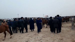 карши карвон от бозори карши мол бозори нархлари танишинг 🐎🐎🫏🫏🐴 9 января 2024 йил