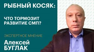 Почему Северный морской путь не может заменить железную дорогу | Экспертное мнение