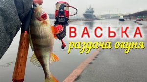 🐟ДУШЕВНАЯ РАЗДАЧА Окуня на ВАСЬКЕ! ⚡️Я УГАДАЛ!⚡️Время Место Погода! #стритфишинг #микроджиг