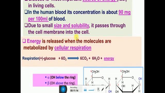 Biomolecules: Part 1 Carbohydrates