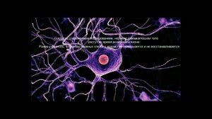 Интересные Факты о Человеческом Мозге!