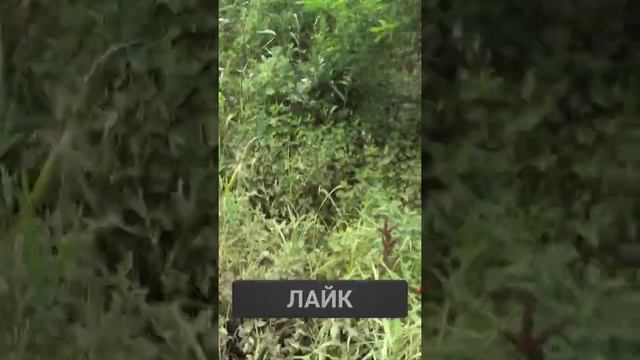 20 июля 2022 г. смотреть онлайн